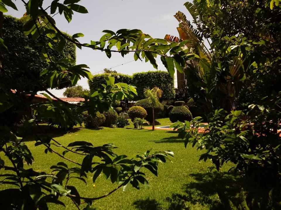 Hotel Alamo Internacional San Salvador Zewnętrze zdjęcie