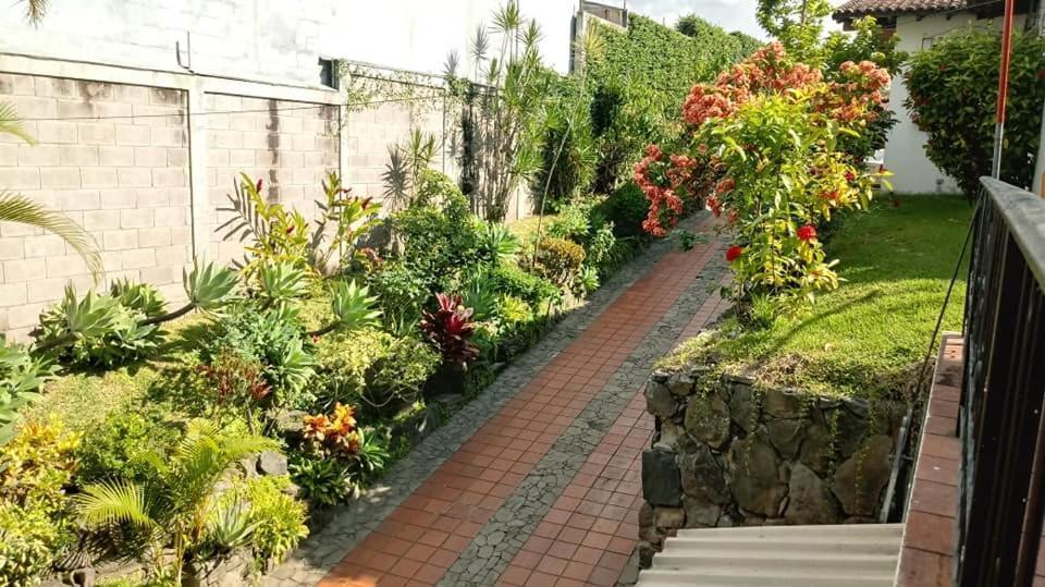 Hotel Alamo Internacional San Salvador Zewnętrze zdjęcie
