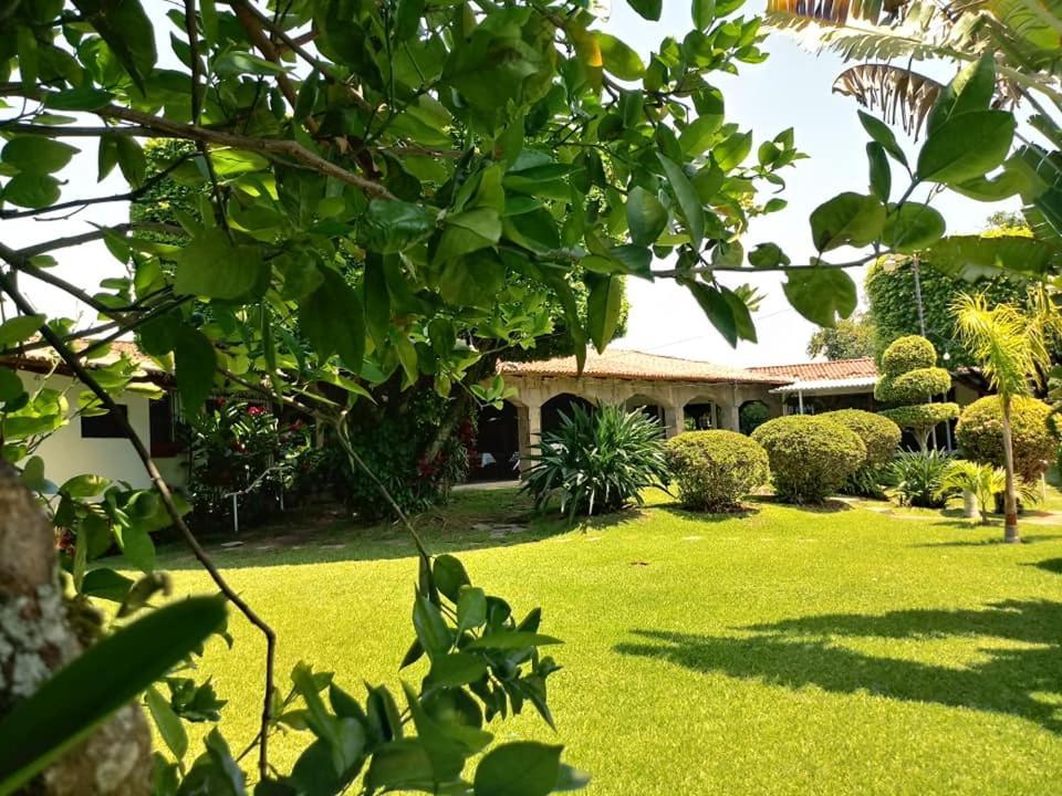 Hotel Alamo Internacional San Salvador Zewnętrze zdjęcie