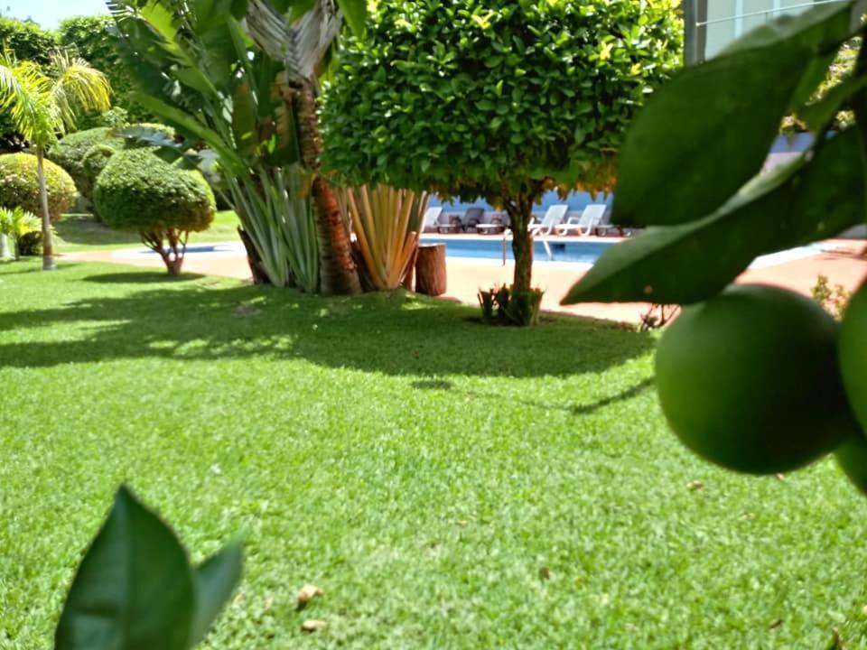 Hotel Alamo Internacional San Salvador Zewnętrze zdjęcie